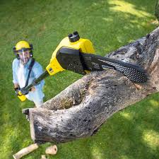 Best Weed Control  in Pueblo West, CO